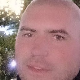 ������, �����������, 41 ���