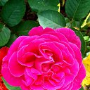 ���� ������, ���� - ��������� 8 ������� 2022