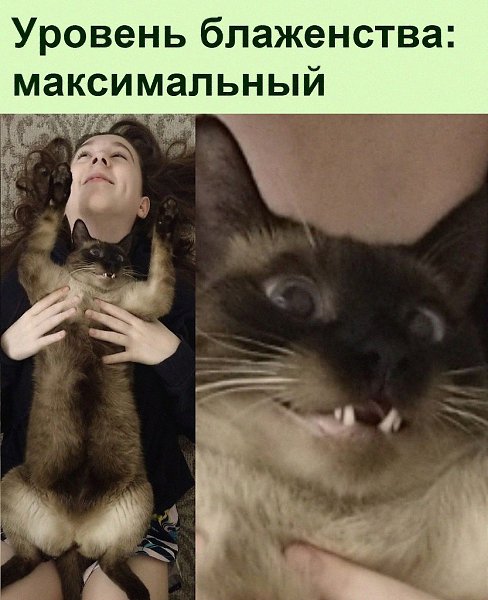 ������ ��������� :D - 4 ������� 2022 � 18:22