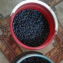 ���� ������, ���������, 62 ���� - ��������� 24 ������ 2023