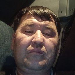 �����, ������, 42 ����