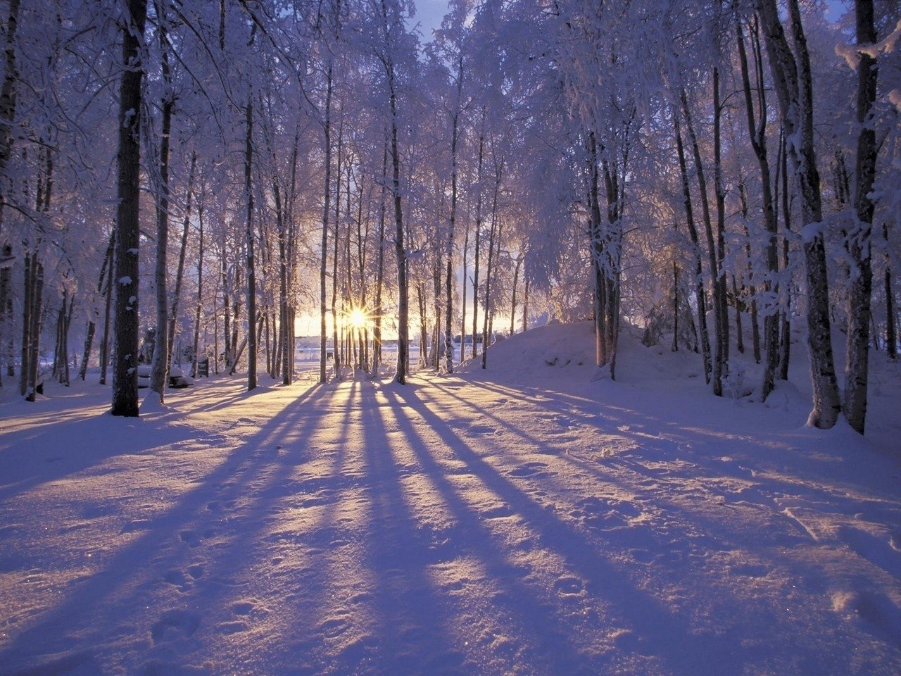    - 11  2023  19:22