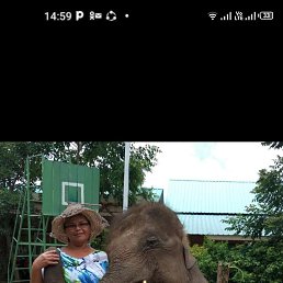 ���� ������, ����, 56 ��� - ��������� 21 ���� 2022