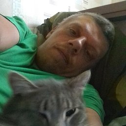 Kot, �����������, 43 ����