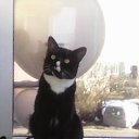 ���""������"�� ��������. �� ������� ������ ��������