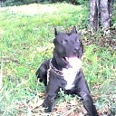 ���� �������, ��������, 44 ���� - ��������� 12 ������� 2022