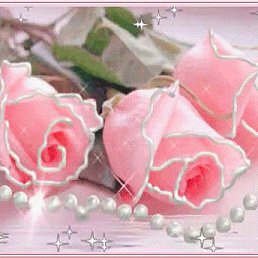 ���� ��������, ������� - ��������� 13 ������� 2022