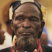 ����, 41 ���, �����