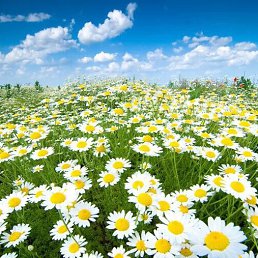 ���� �����, ����� - ��������� 16 ���� 2022