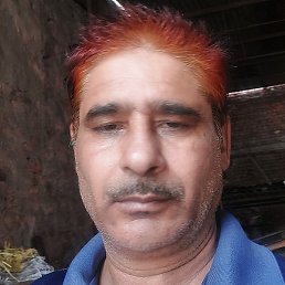 Guddu Sam, , 44 