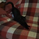 ���� ���������, ������, 66 ��� - ��������� 15 ������� 2022