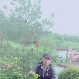 ���� �����, ������, 36 ��� - ��������� 12 ������� 2023