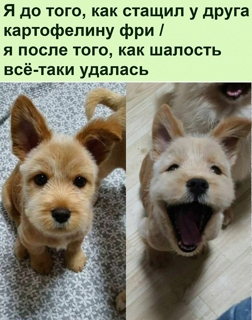   :D - 25  2022  18:43