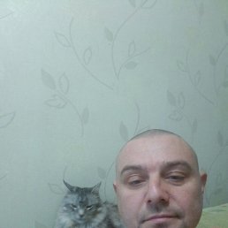 ���� �����, �����, 44 ���� - ��������� 10 ������� 2022