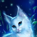 ���� �����, ������, 46 ��� - ��������� 18 ���� 2022