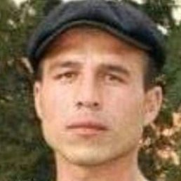 �������, �������, 41 ���