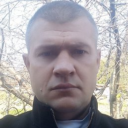 ������, ����������, 39 ���