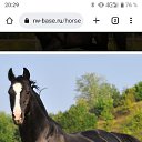 ���� ������, ������, 52 ���� - ��������� 15 ������� 2023 � ������ ���� ����������