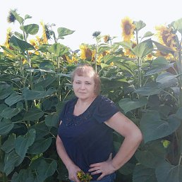 ���� �����, �����, 64 ���� - ��������� 3 ������� 2022