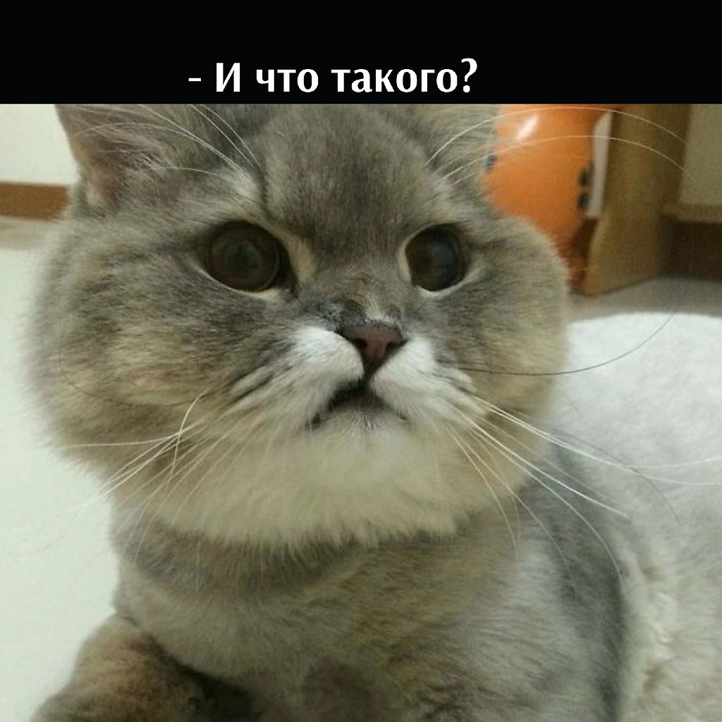       - 27  2022  16:57 - 3