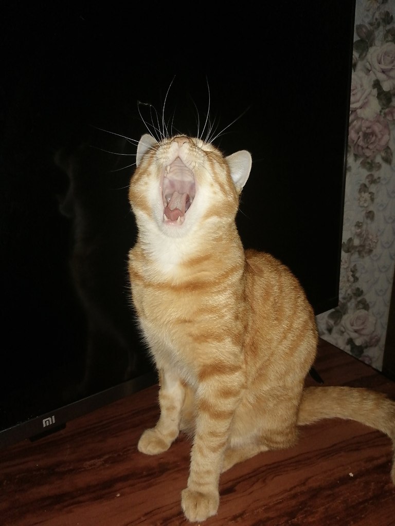 ,     )  !