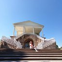  , , 56  -  29  2022   - 2022