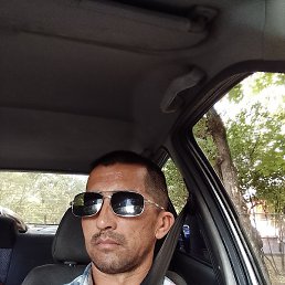 ����, ������, 41 ���