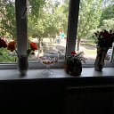 ���� �������, ��������, 79 ��� - ��������� 6 ������� 2023