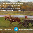 ���� ���������, ����������� - ��������� 12 ����� 2022 � ������ ������ ��������