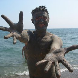 �����, ����, 43 ����