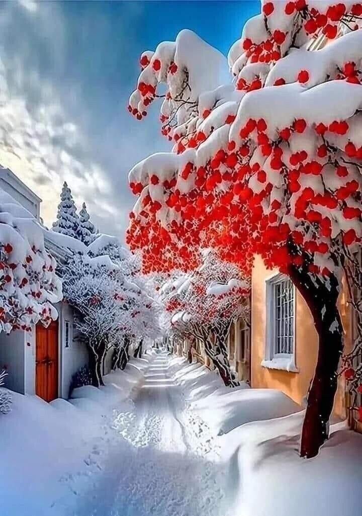 �������� - 6 ������� 2023 � 15:55