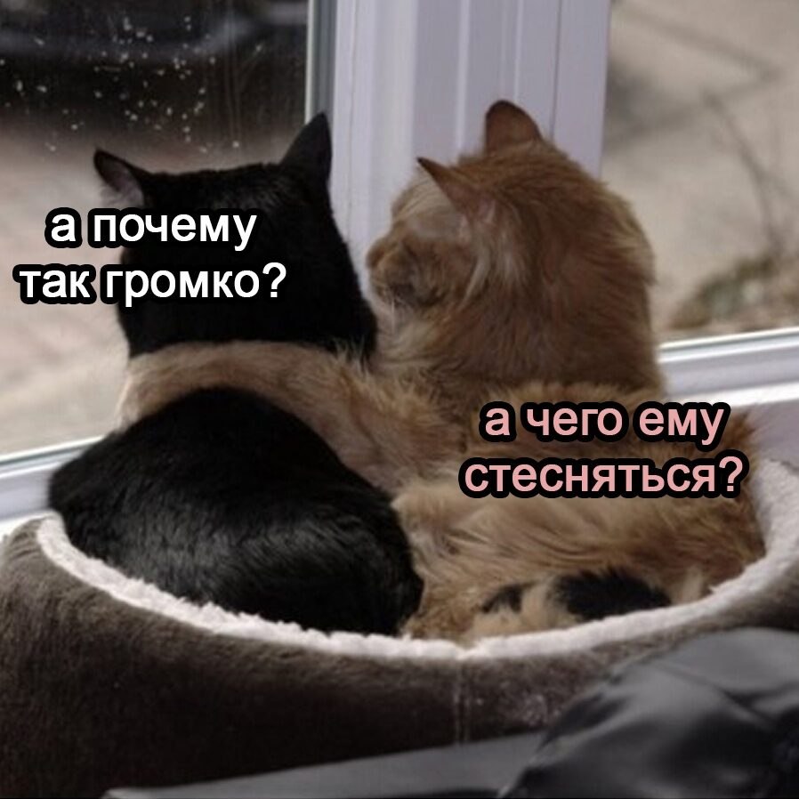 ***Victoria Viktorovna*** - 23  2022  04:06 - 2