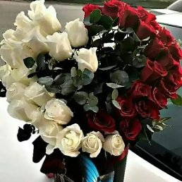 ������, ������, 47 ���