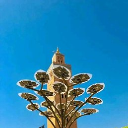 Youssef, ������, 31 ���