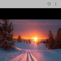 ������, �������, 37 ���