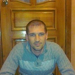 ������, �������, 40 ���