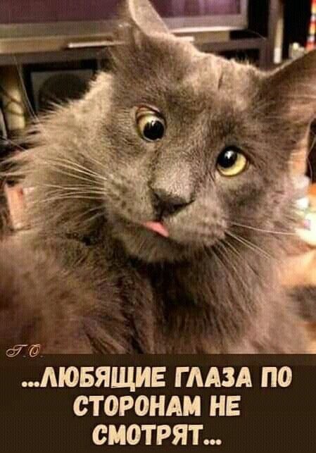   - 10  2022  09:59