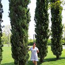 ���� ����, ��������, 67 ��� - ��������� 11 ������� 2023 � ������ ���� ����������