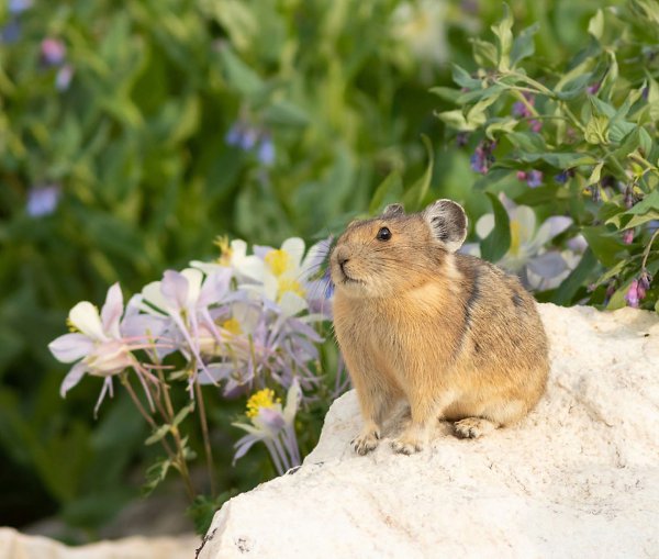 ���� ���������� ������.������ ���������� ������ �������� ������������ �������, �� � ��������� ... - 3