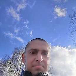 ���� ������, ������, 39 ��� - ��������� 8 ������ 2023