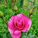 ���� �������, ������, 51 ��� - ��������� 22 ���� 2022 � ������ ���� ����������