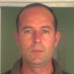 �����, �������, 51 ���