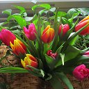 ����� ��������� �������... �� ������� ������ ��������