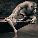 ���� ������, ���������, 68 ��� - ��������� 9 ������� 2022 � ������ ���� ����������
