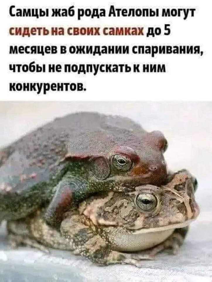 :)