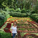 ���� �������, ������� - ��������� 23 ������� 2022 � ������ ���� ����������