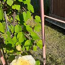 ���� �������, �����-���������, 62 ���� - ��������� 30 �������� 2022 � ������ ���� ����������
