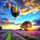 ���� ****Dream**, ��������� - ��������� 25 ������ 2022 � ������ ������ ��������