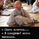 ���� �������, ���������, 44 ���� - ��������� 6 ������ 2022 � ������ ������ ��������