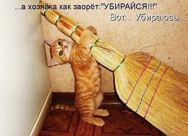    - 8  2022  02:31